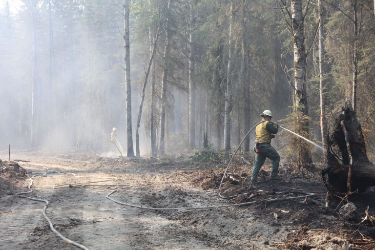 Incêndios florestais em Alberta: governo acaba com estado de emergência provincial