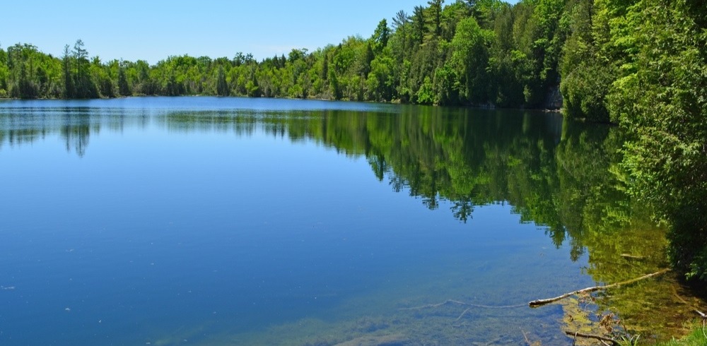 O mundo está 'obcecado' por este lago de Ontário, mas por quê?
