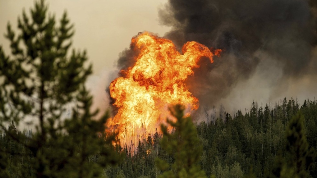 'Muito pela frente': Canadá ainda terá atividade significativa de incêndios florestais, dizem federais; província com a maior área queimada é Quebec