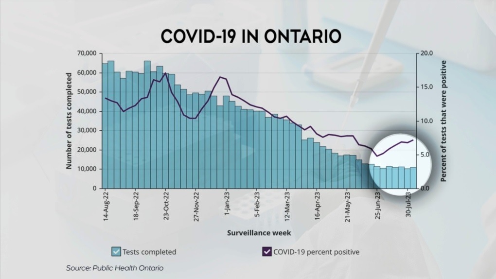 'Cepa altamente mutada': número de casos COVID-19 em Ontário aumentando após surgimento de nova variante
