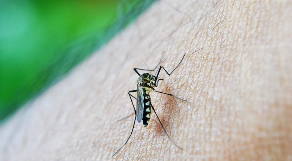 EUA emitem alerta de saúde para viagens ao Brasil por causa da dengue